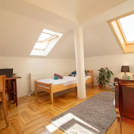 Spacious, And Luxury Flat With Great View! Apartment Novi Sad